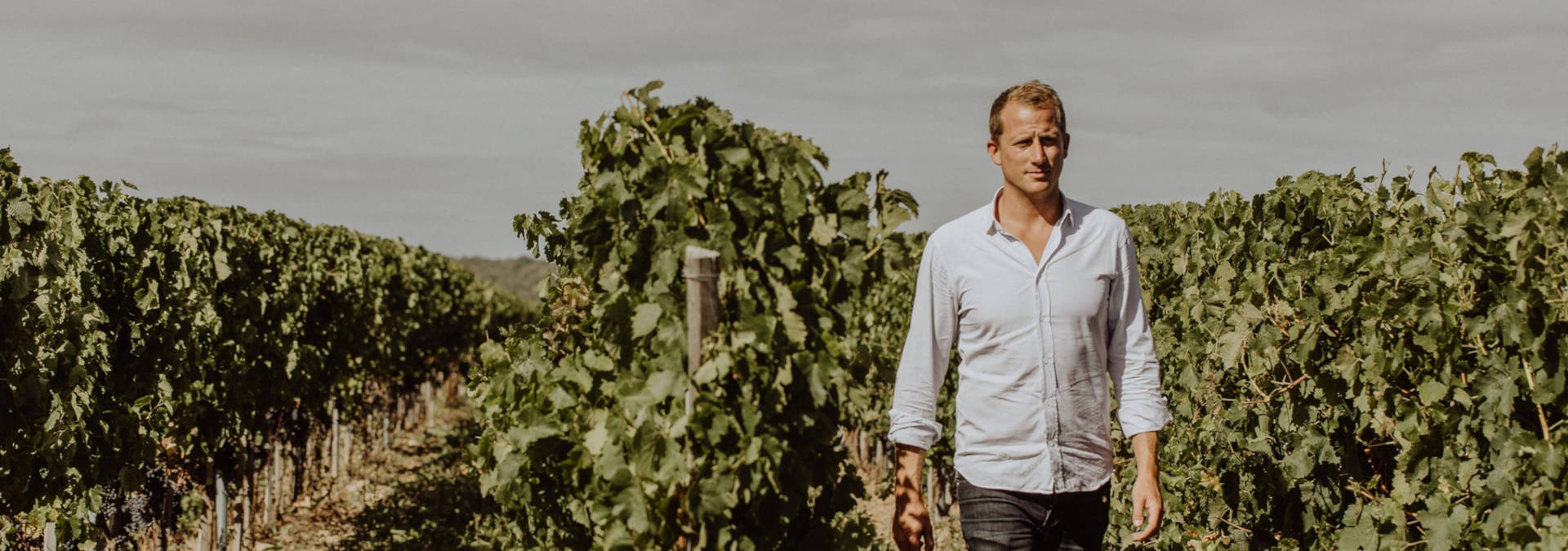 ⭐️ Domaine de la Bouche du Roi Tour ️ Reviews, Price 2024